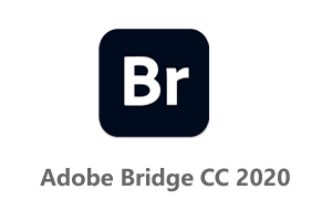 Adobe Bridge CC 2020 Br2020官方简体中文破解版+安装教程